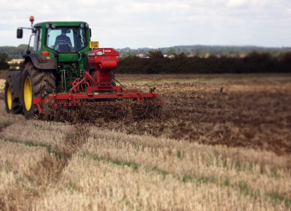 Stubble Cultivation / Rape Seeding