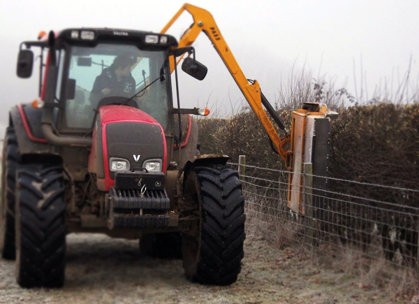 Hedge / Verge Cutting