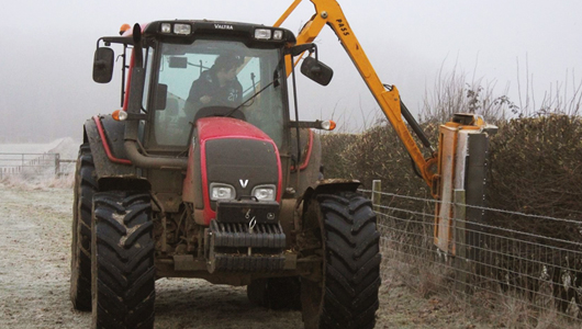 Hedge Verge Cutting